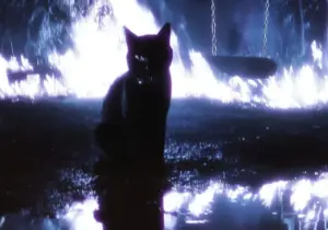 Junior H – MI GATA Ft. Gael Valenzuela