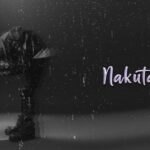 Mbrazil – NAKUTAKA
