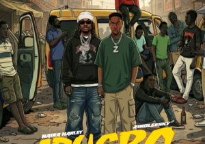 Naira Marley – Adugbo ft. Zinoleesky