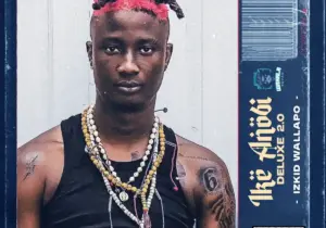 Izkid Wallapo – Afro Deep ft. Terry Apala & Boy Muller